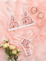 Sensual Lingerie Woman Underwear Sexy Set Bra Thong-RedB-2